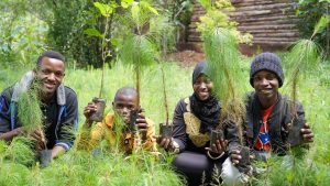 Utunzaji wa Mazingira